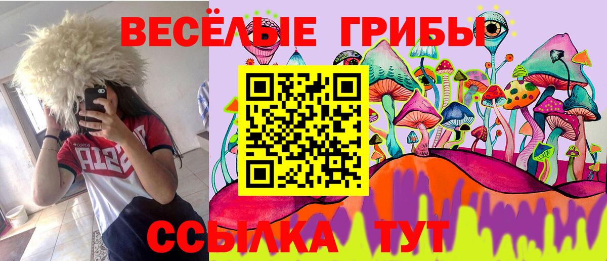 Удомля  Галлюциногенные грибы Magic Shrooms  Вход с VPN 