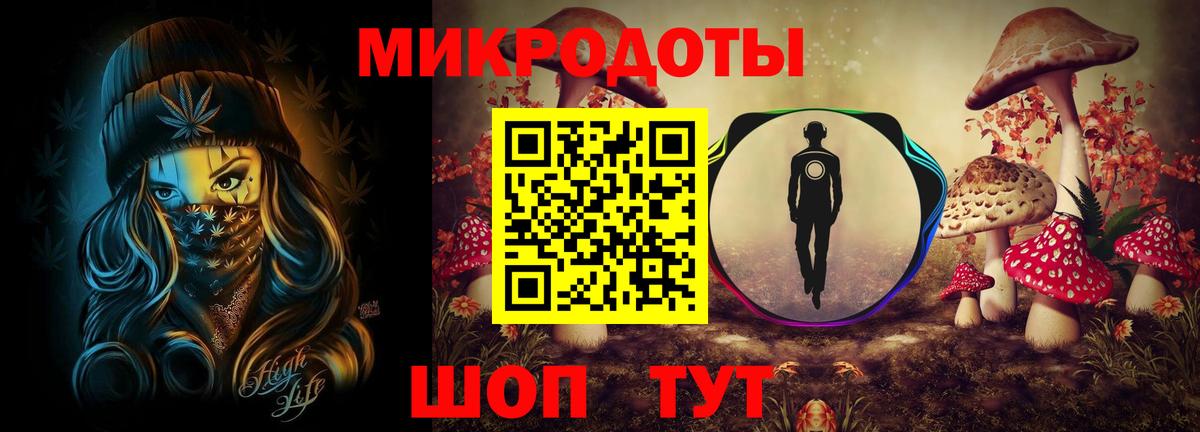 Галлюциногенные грибы Psilocybine cubensis Удомля